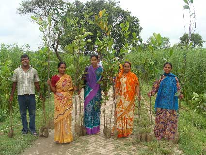 Group
