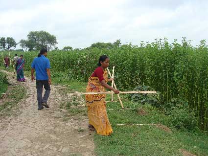 sheuli
